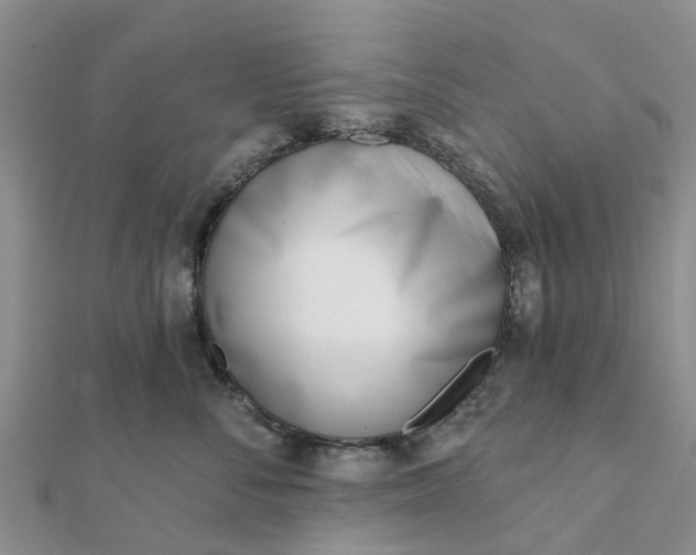 X0000112080716200908181242