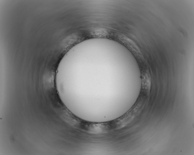 X0000112080717200908181242