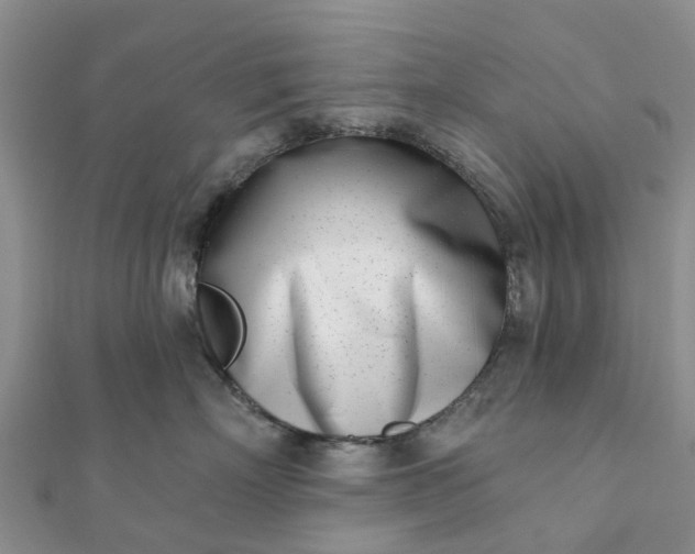 X0000112080718200908181242