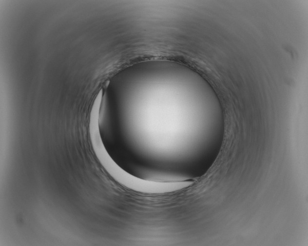 X0000112080720200908181242