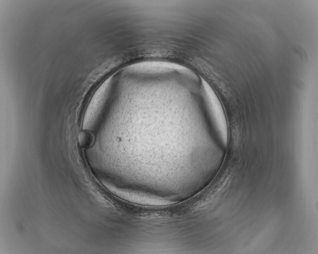 X0000112080721200908181241