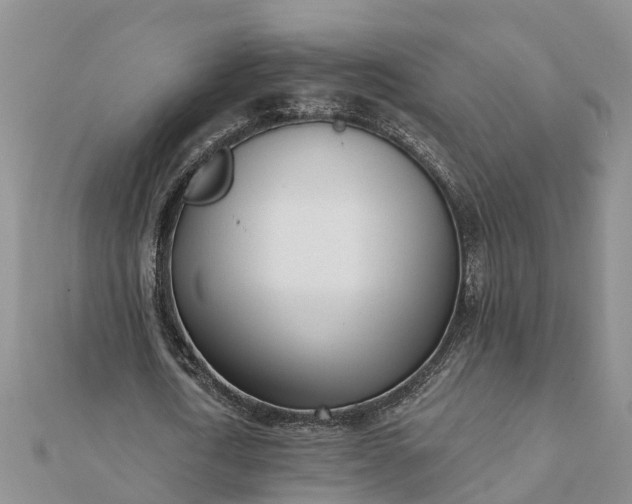 X0000112080722200908181241