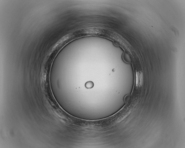 X0000112080723200908181241