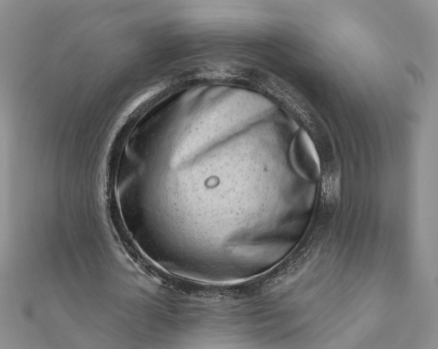 X0000112080724200908181241