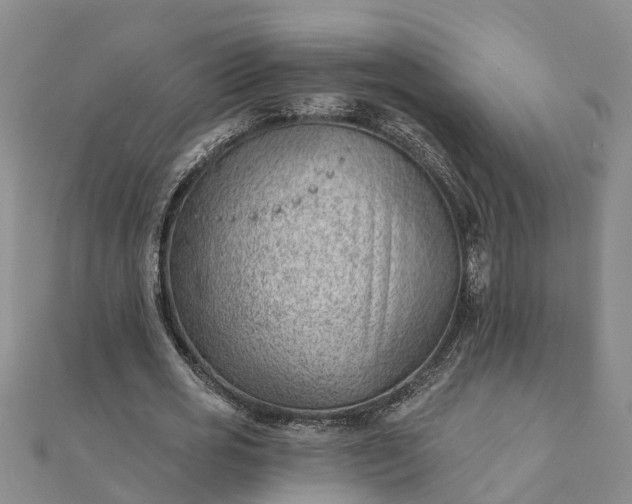 X0000112080725200908181241