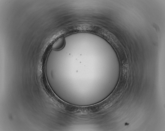 X0000112080727200908181241