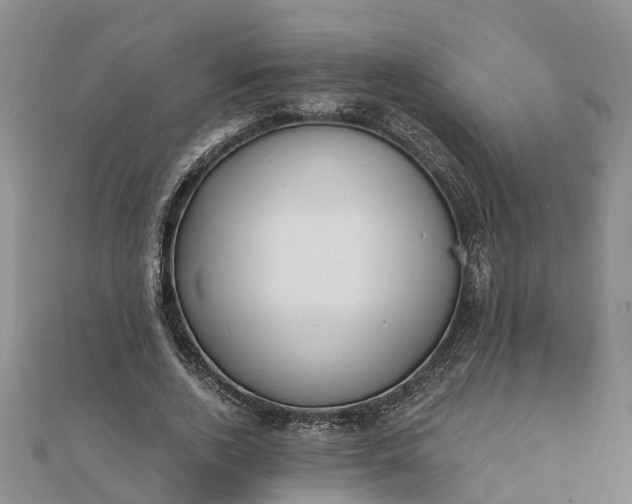 X0000112080728200908181241