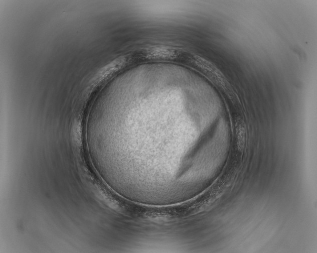 X0000112080729200908181241