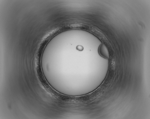 X0000112080732200908181241