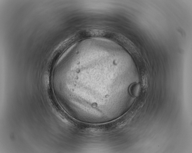 X0000112080733200908181241