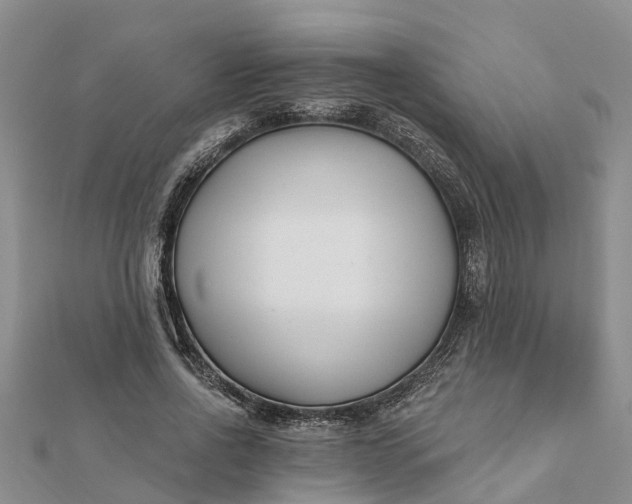 X0000112080734200908181241