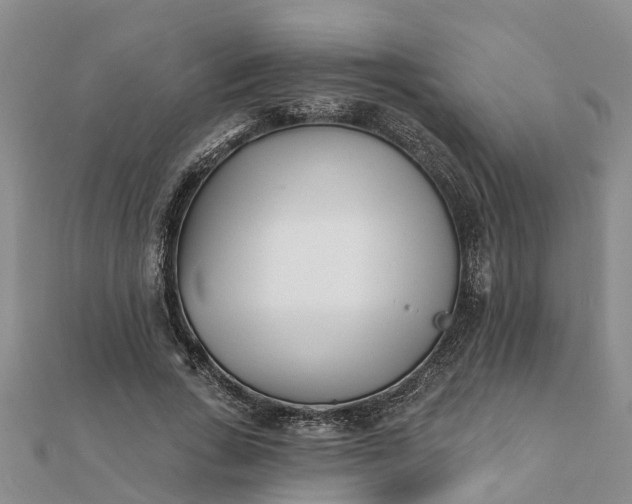 X0000112080735200908181241