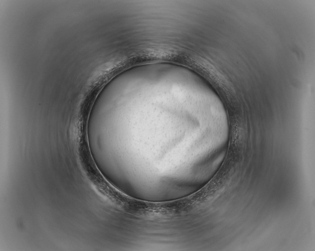 X0000112080736200908181241