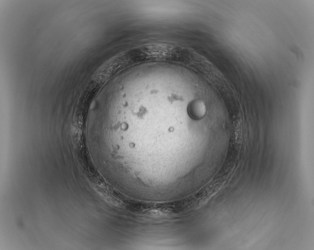 X0000112080737200908181241