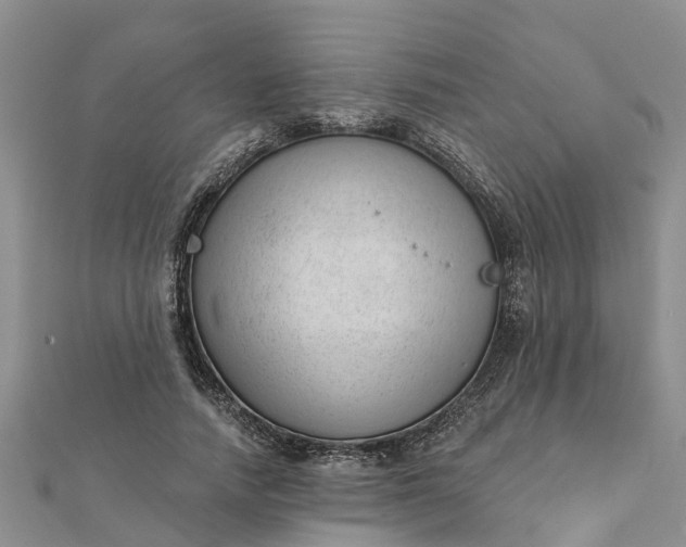 X0000112080738200908181241