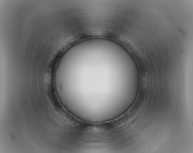 X0000112080739200908181241