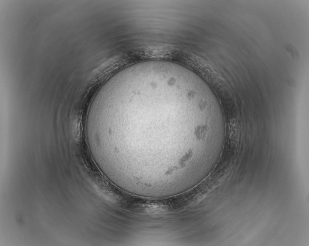 X0000112080741200908181241