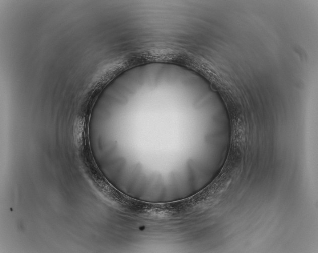 X0000112080742200908181241