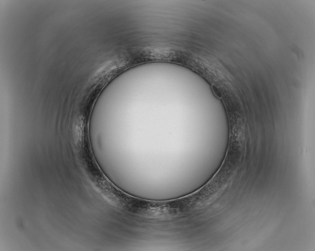 X0000112080744200908181241