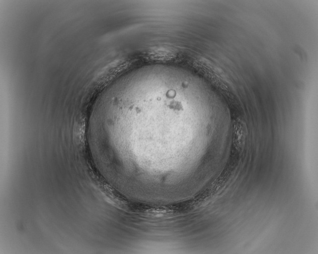 X0000112080745200908181241