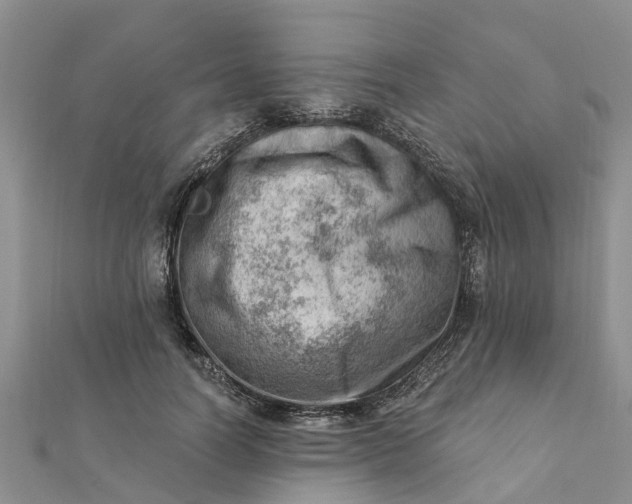 X0000112080746200908181241