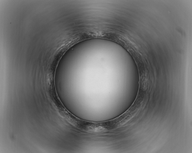 X0000112080747200908181241