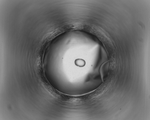 X0000112080748200908181241