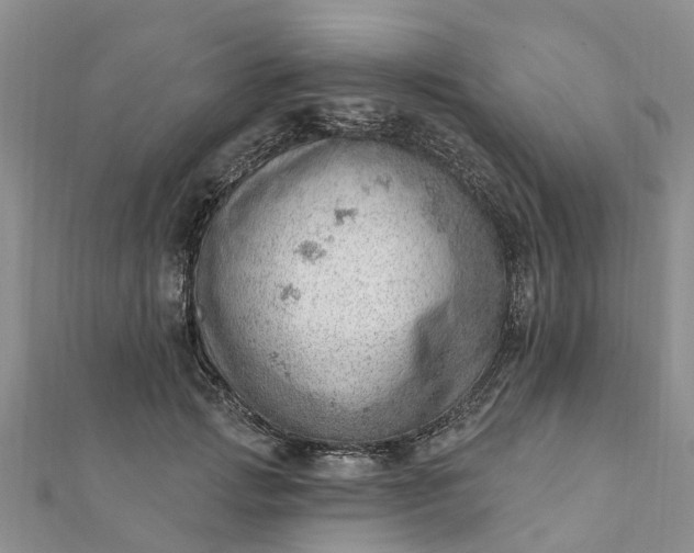 X0000112080749200908181241