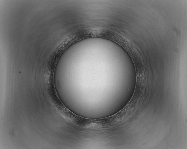 X0000112080750200908181241