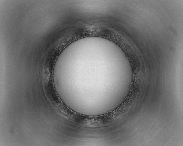 X0000112080752200908181241