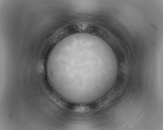 X0000112080754200908181241