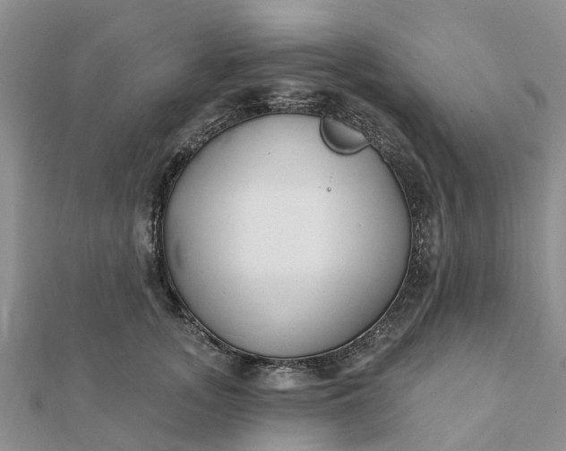 X0000112080755200908181241