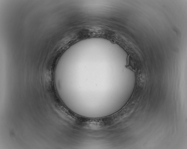 X0000112080756200908181241