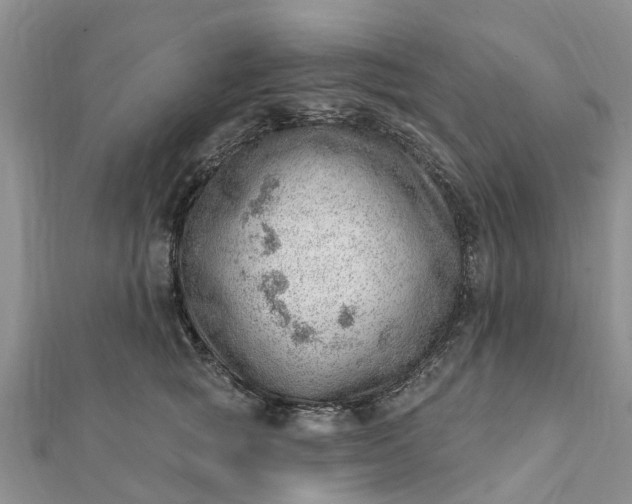 X0000112080757200908181241