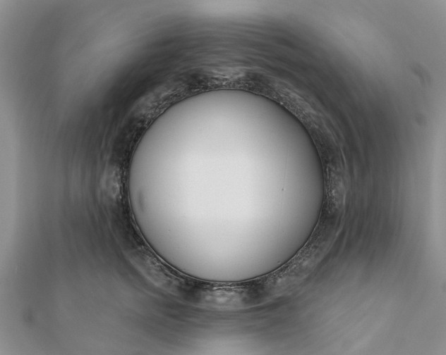 X0000112080758200908181241