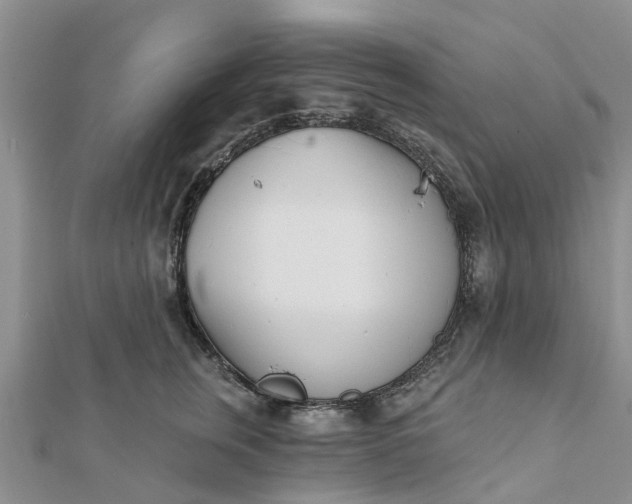 X0000112080759200908181241