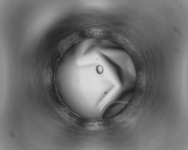 X0000112080760200908181241