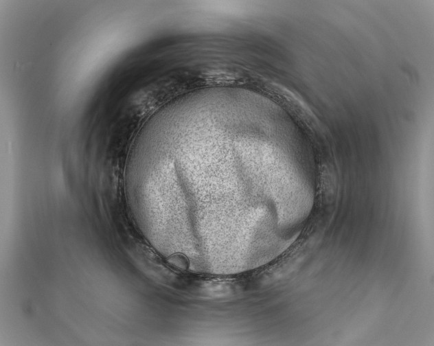 X0000112080761200908181242