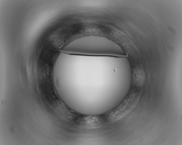 X0000112080762200908181242