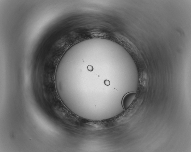 X0000112080763200908181242