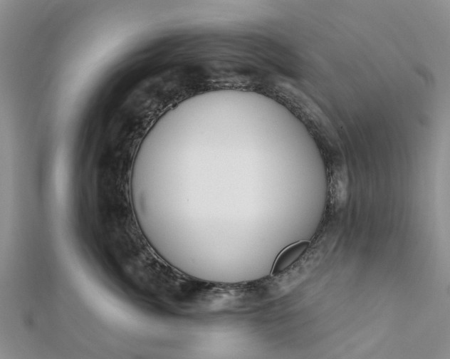 X0000112080764200908181242