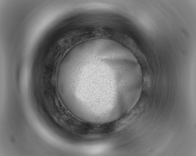 X0000112080765200908181242