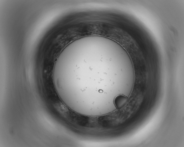 X0000112080766200908181242