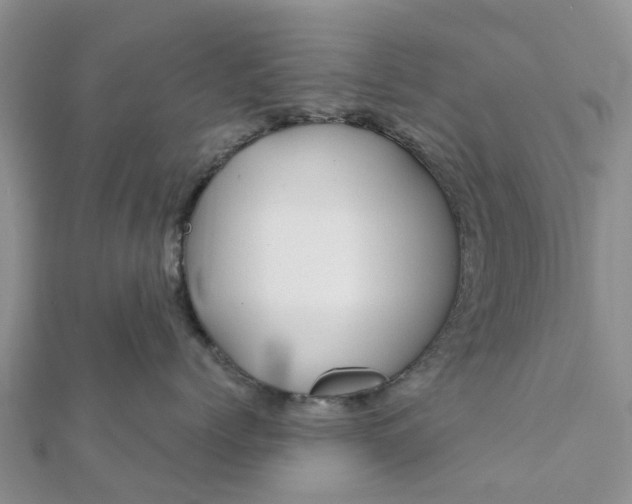 X0000112080768200908181242