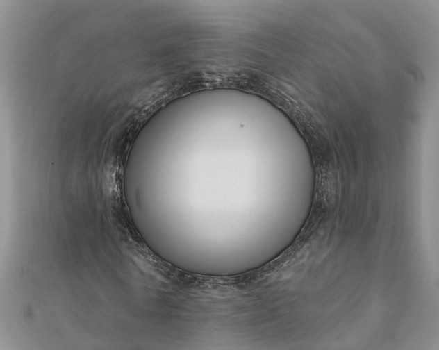 X0000112080770200908181241