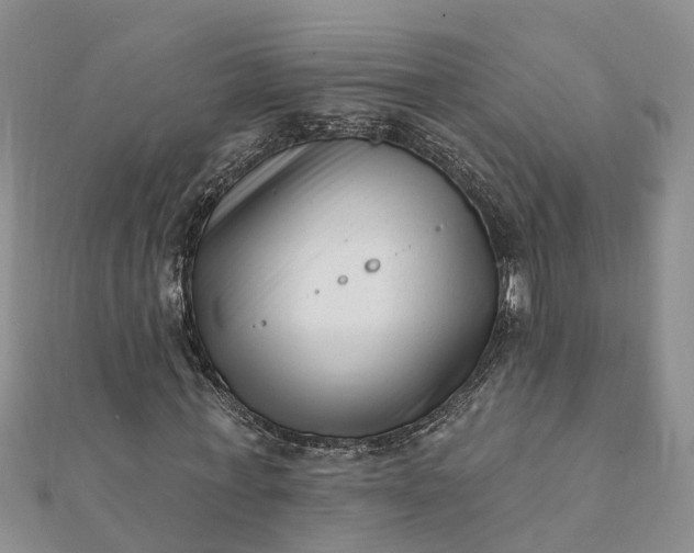 X0000112080771200908181241