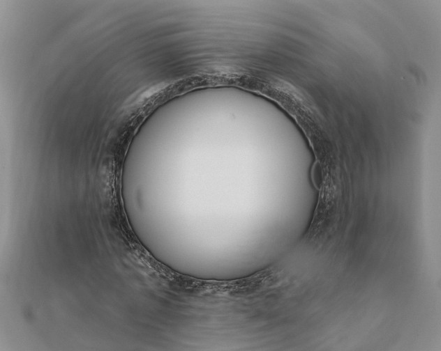 X0000112080773200908181241