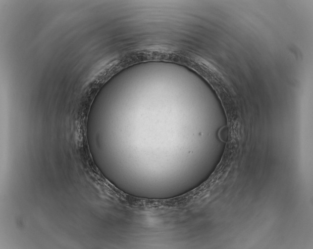 X0000112080774200908181241