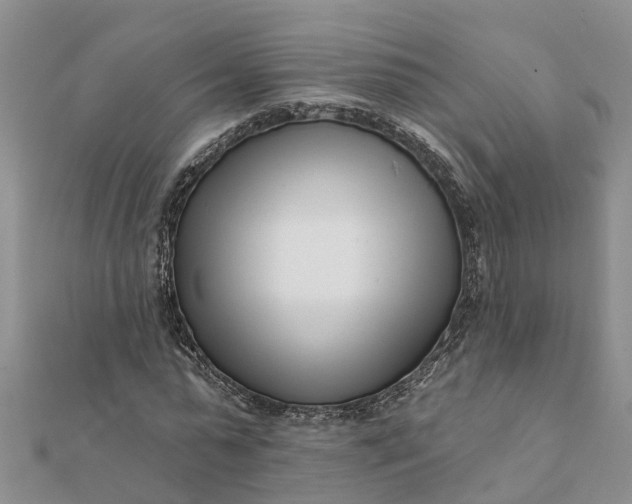 X0000112080775200908181241