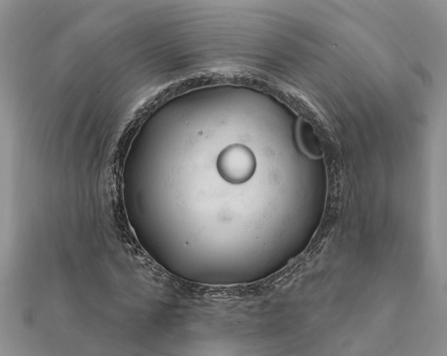 X0000112080776200908181241